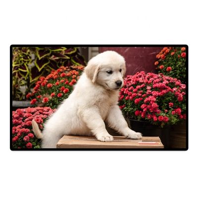 Quality Commercial Rental Source Factory Advertising Indoor Led Display Screen Led Billboard IP65 CCC factory